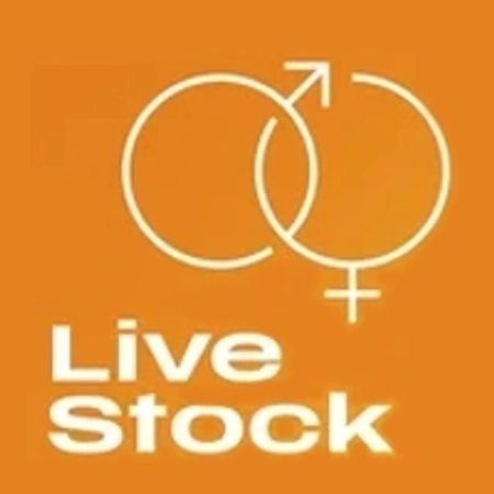 Live Stock