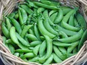 Sugar Snaps - 1